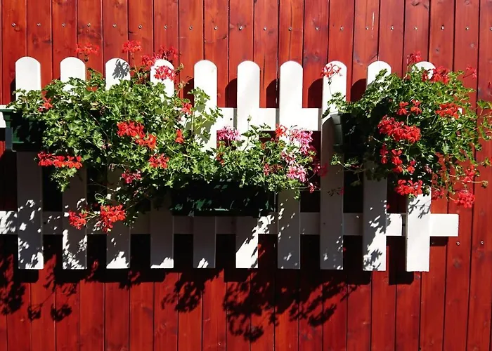 Napsugar Hotel Balatonmariafurdo